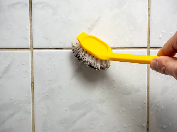 Mold Testing and Removal in Camino, CA